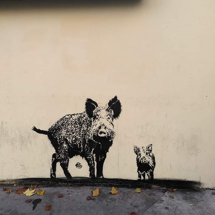Photo prise dans une rue de Boulogne