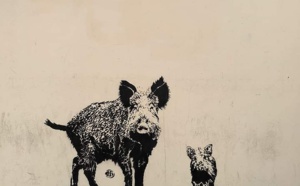 La majorité s'oppose à notre voeu contre les animaux sauvages dans les cirques